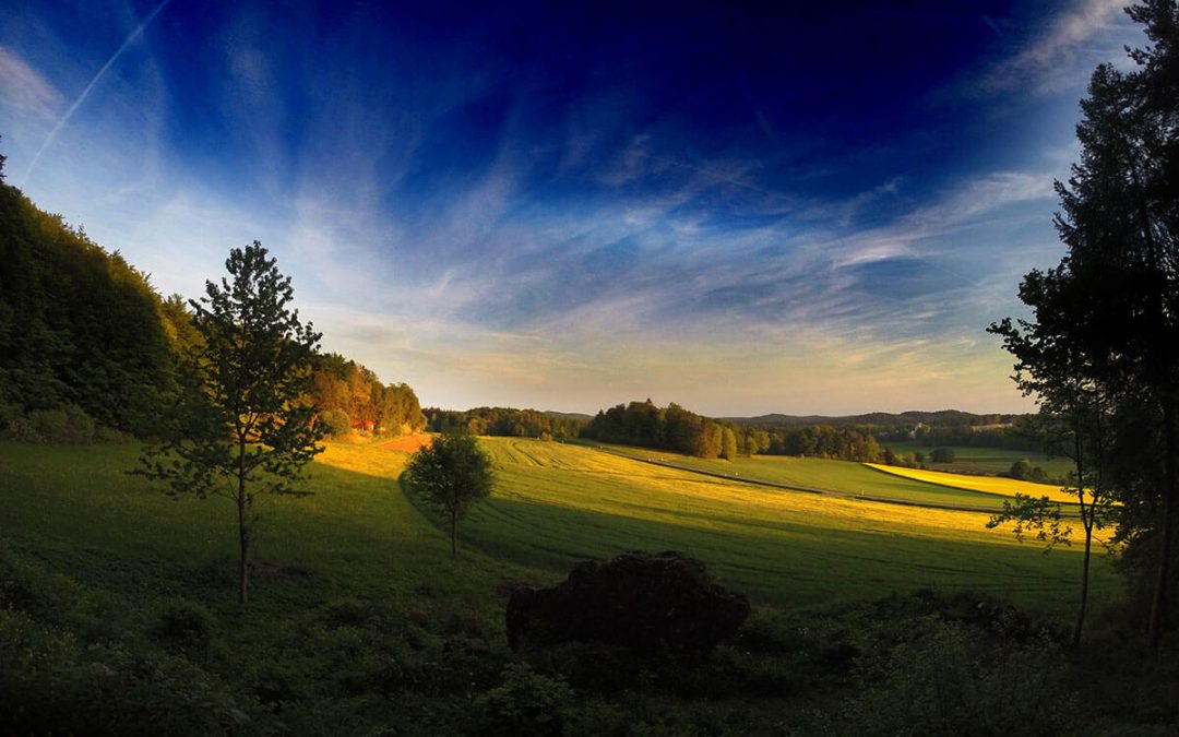 Landscape Project #02