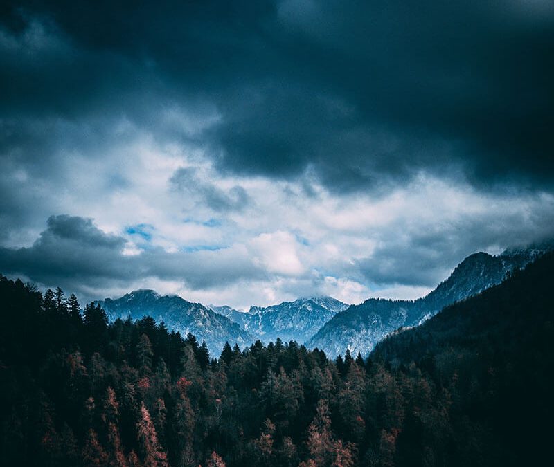 Landscape Project #06